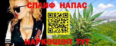 дживик Кингисепп