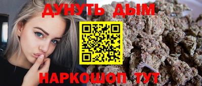 дживик Кингисепп